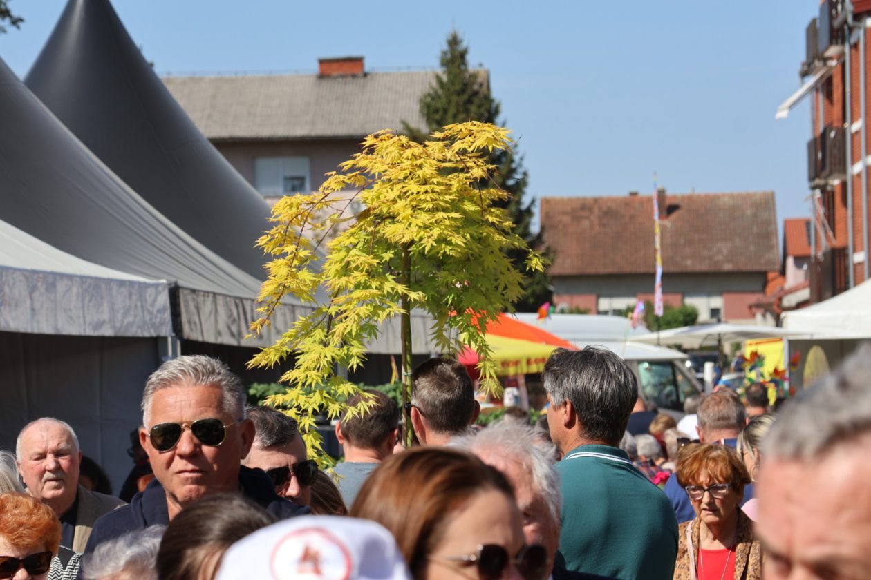 Sajam cvijeća Prelog 2026 (54)