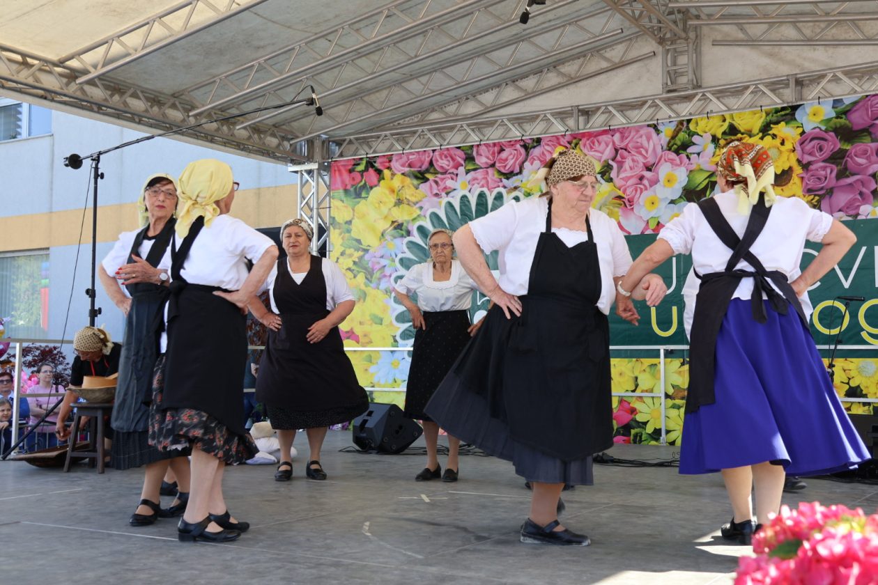 Sajam cvijeća Prelog 2026 (63)