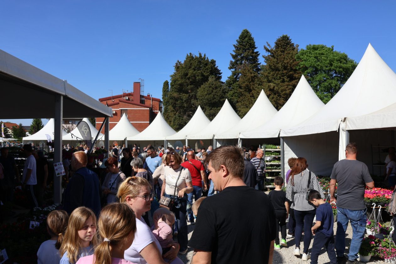 Sajam cvijeća Prelog 2026 (74)