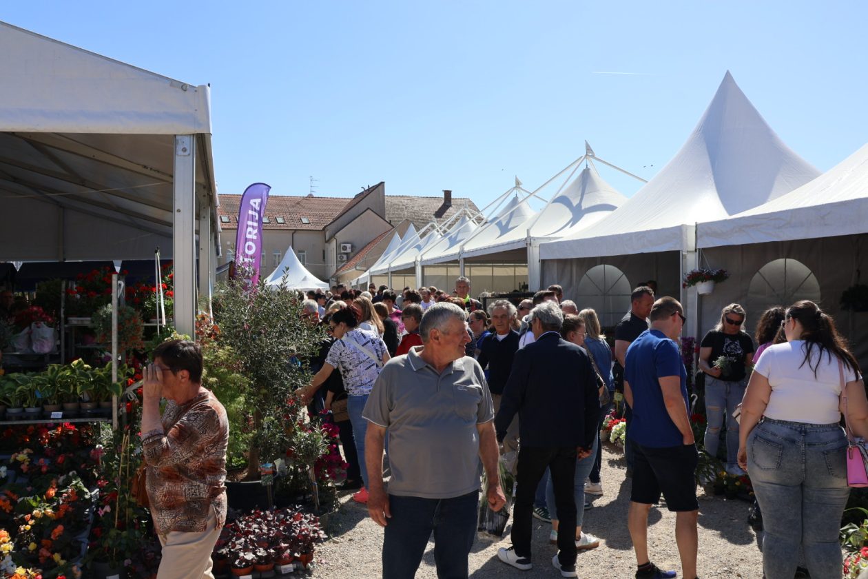 Sajam cvijeća Prelog 2026 (84)