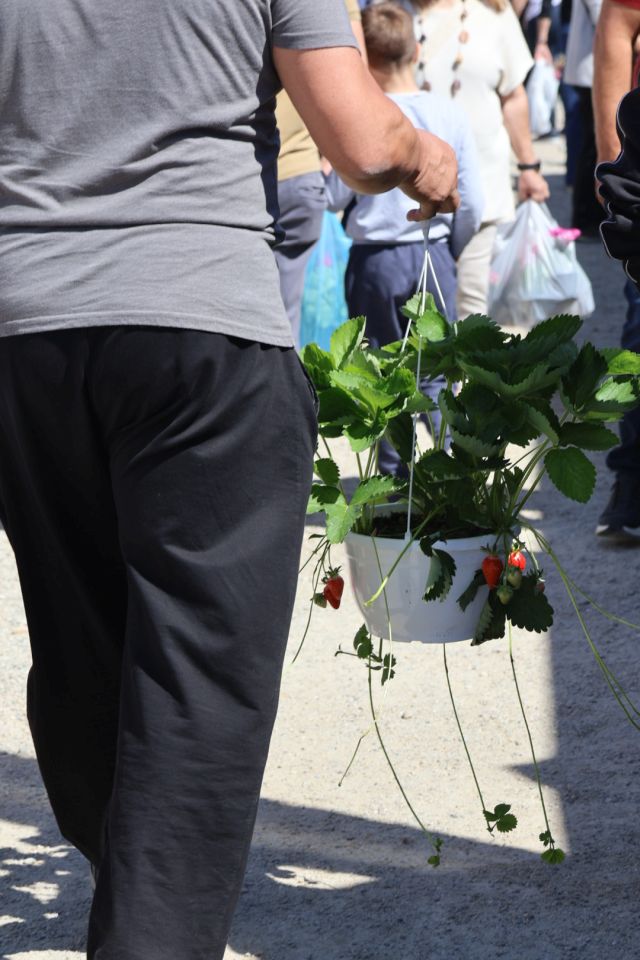 Sajam cvijeća drugi dan 2026 prelog (38)