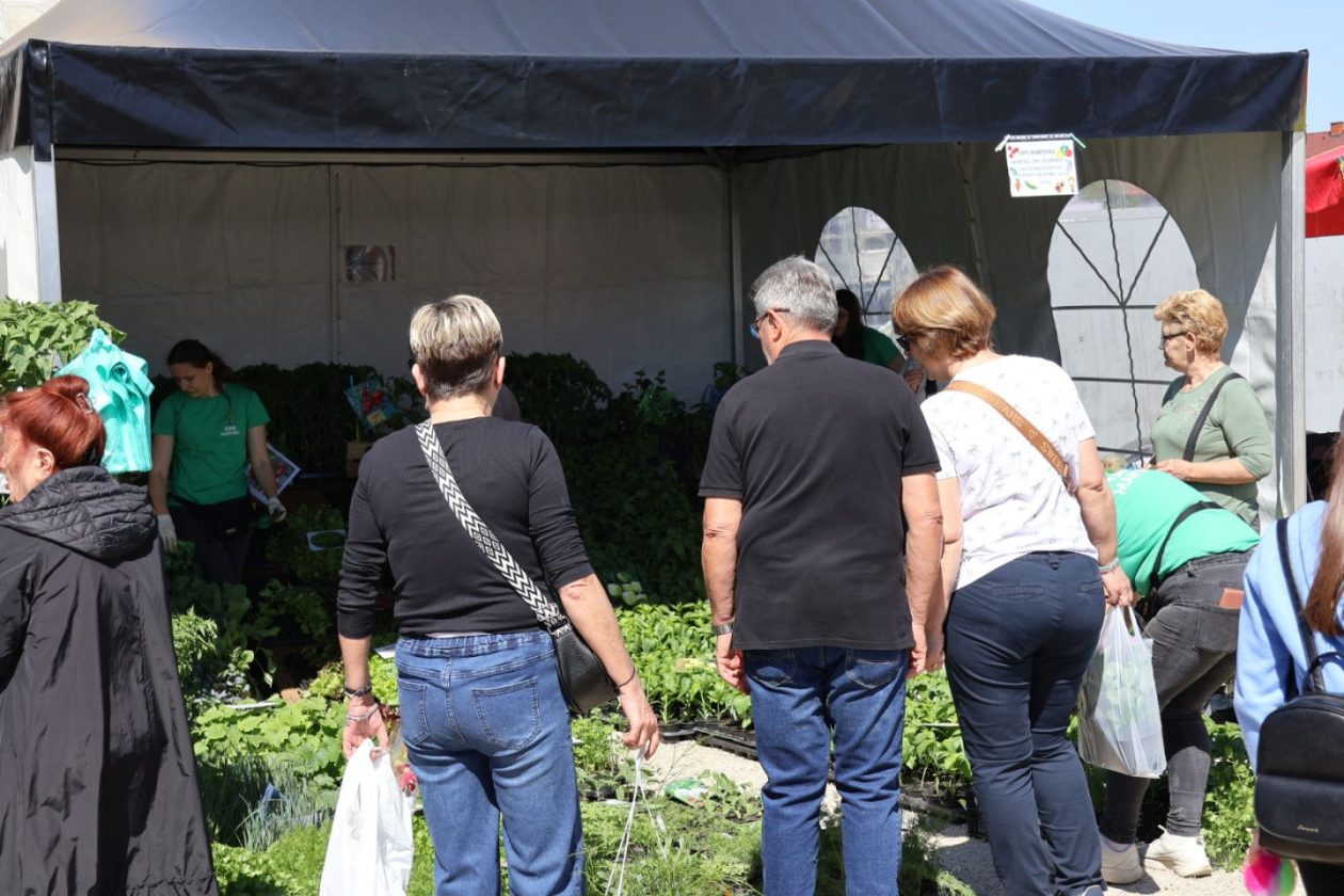 Sajam cvijeća drugi dan 2026 prelog (41)