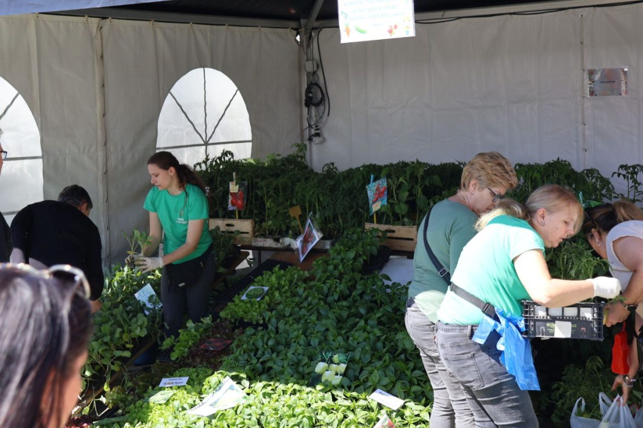 Sajam cvijeća drugi dan 2026 prelog (43)