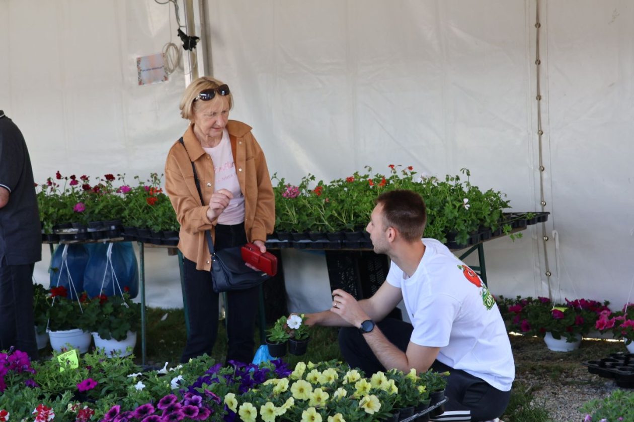 Sajam cvijeća drugi dan 2026 prelog (47)