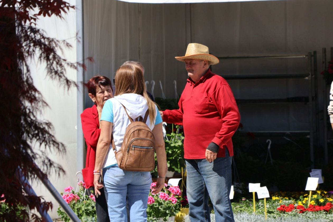 Sajam cvijeća drugi dan 2026 prelog (72)