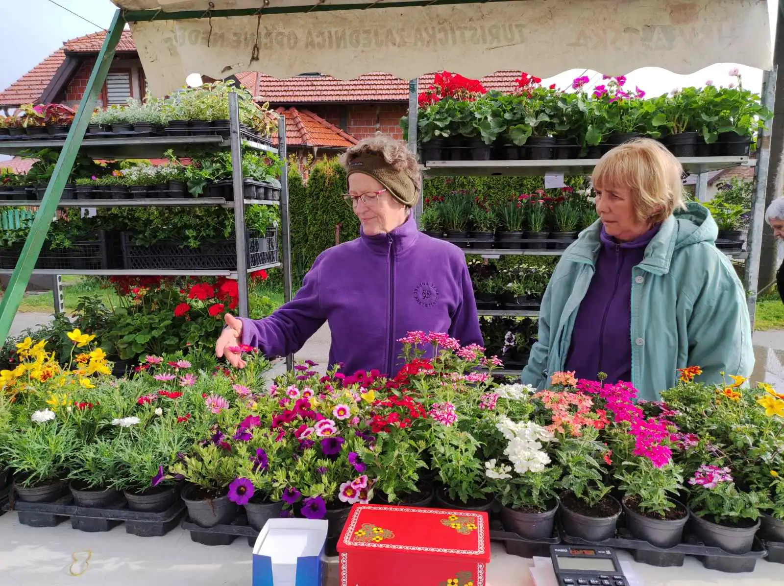 Sajam cvijeća u Dunjkovcu (7)