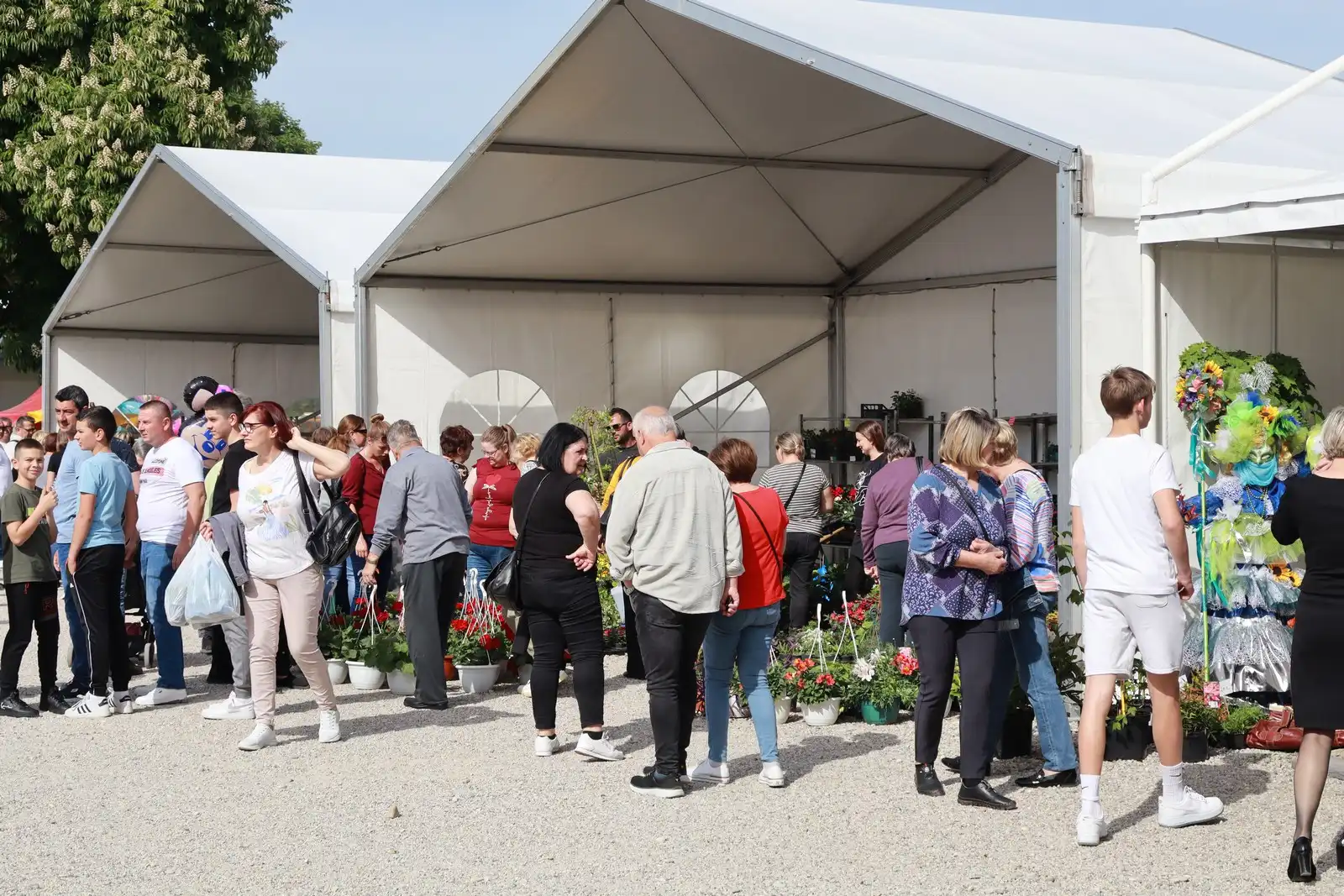 Sajam cvijeća u Prelogu (33)