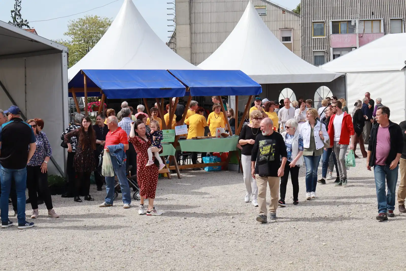 Sajam cvijeća u Prelogu (4)