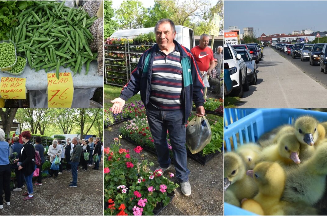 Sajam, naslovna, 30.4.25