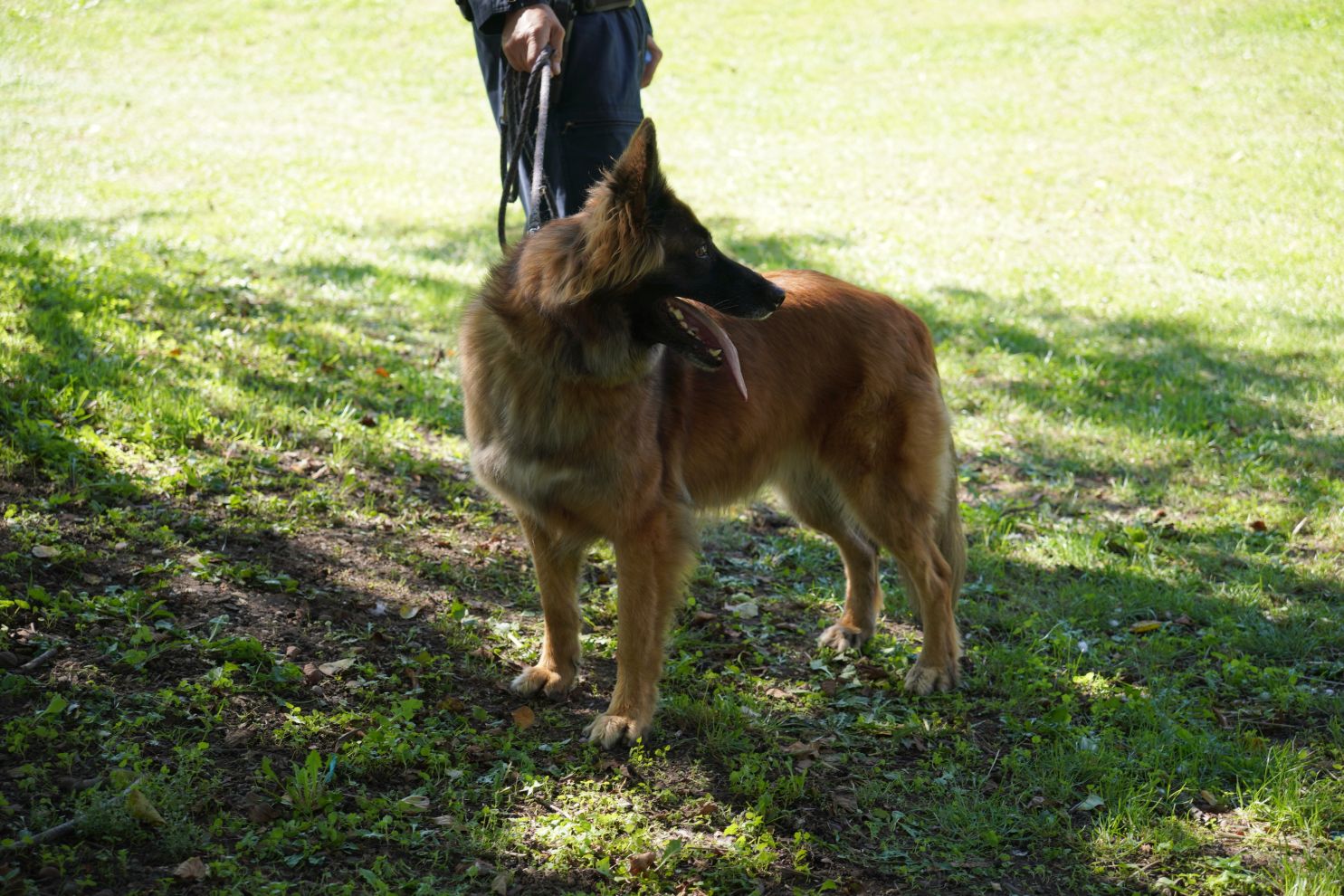 Sajam sigurnosti i prevencije 19. 9. 2025 (22)