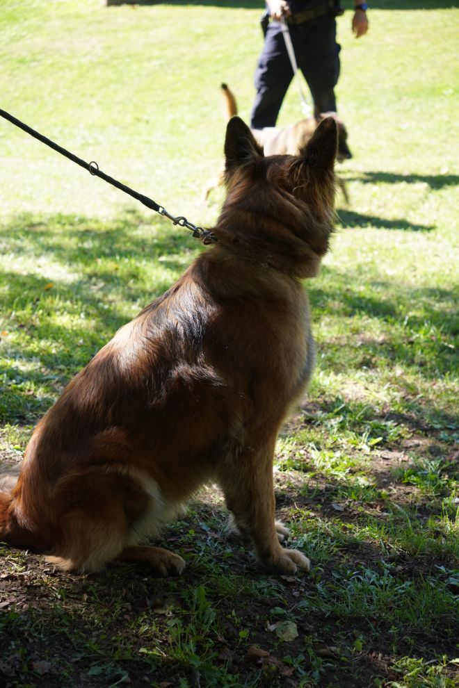 Sajam sigurnosti i prevencije 19. 9. 2025 (24)