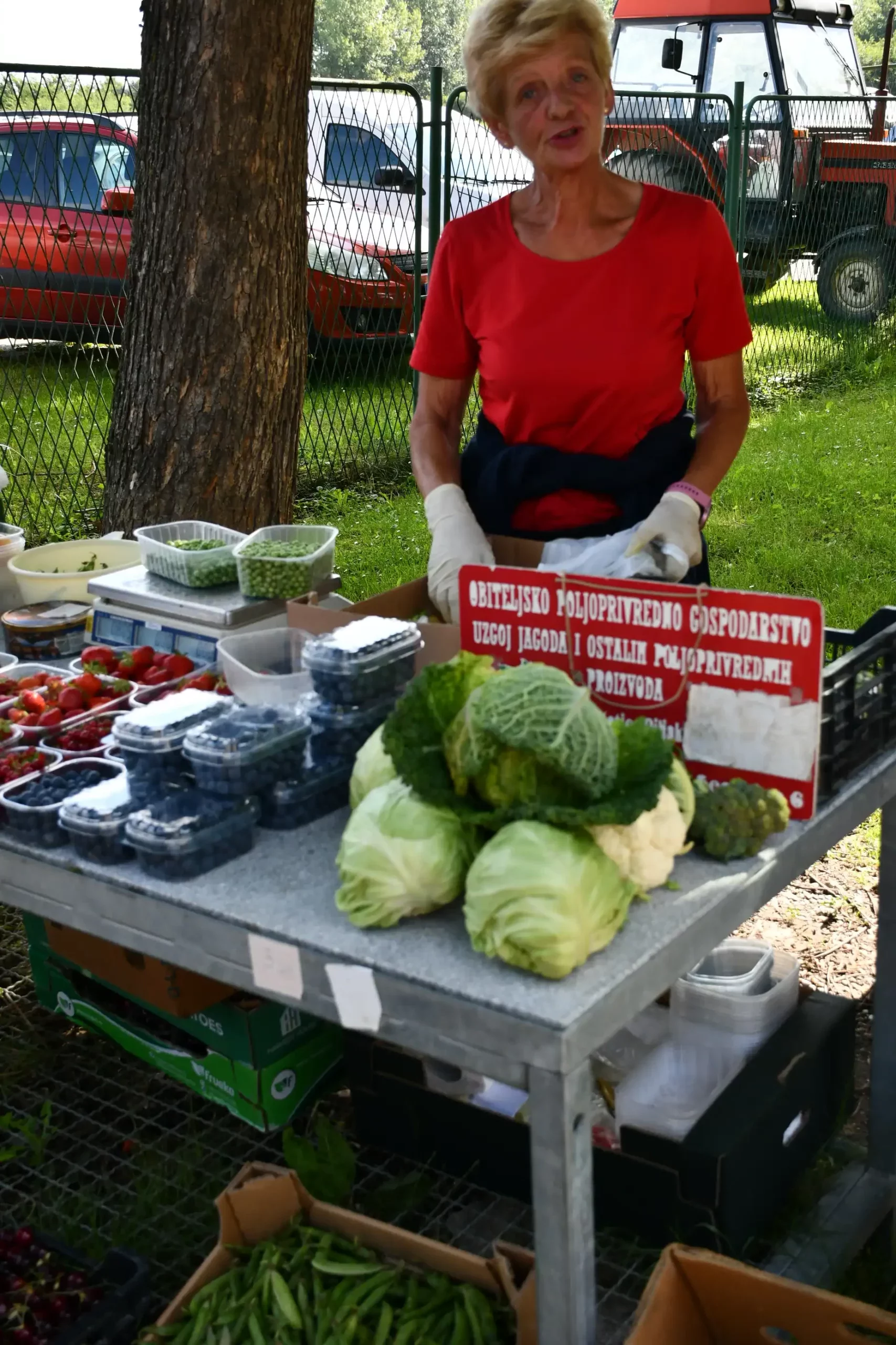 Sajam sriejdom u Čakovcu (14)