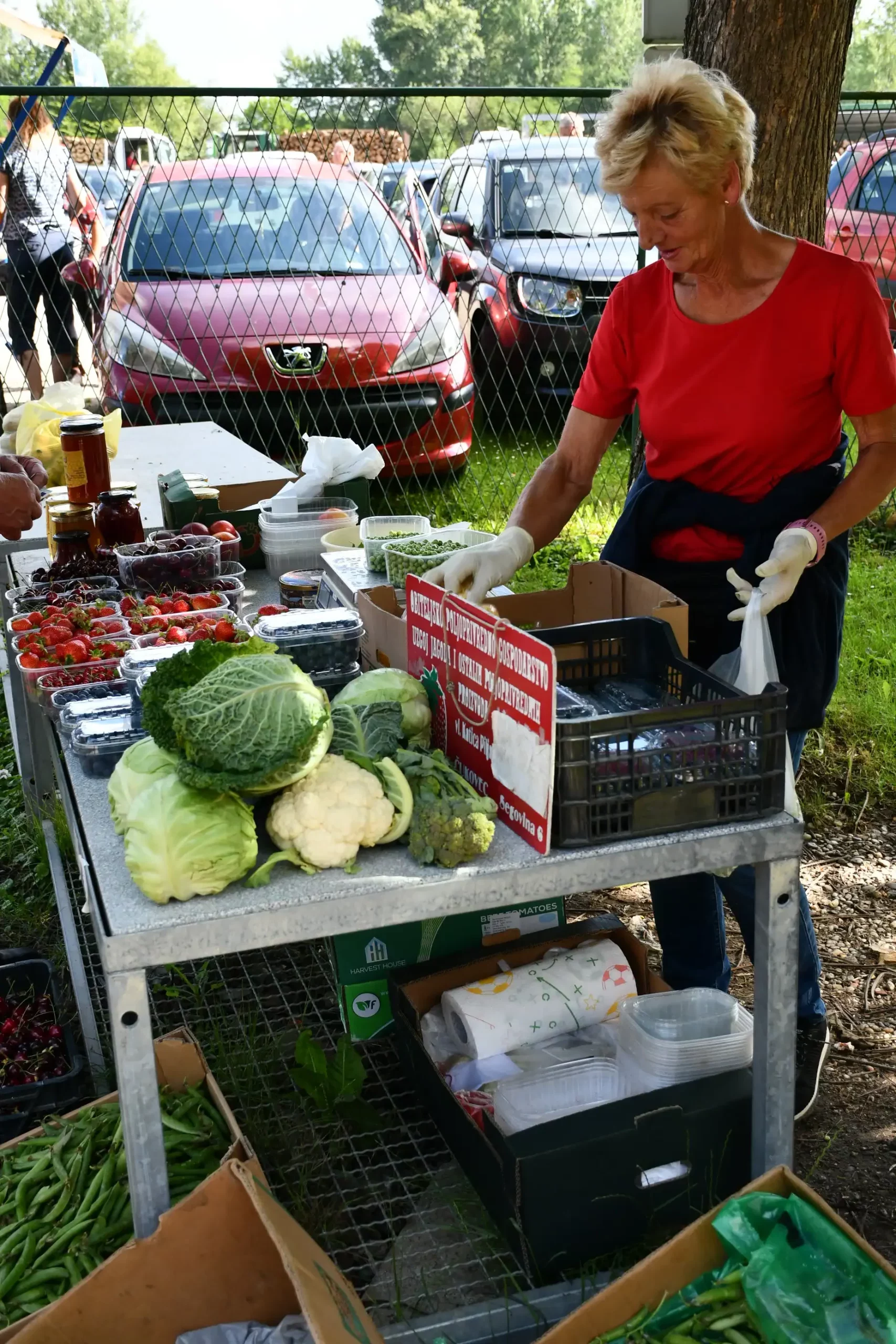 Sajam sriejdom u Čakovcu (15)