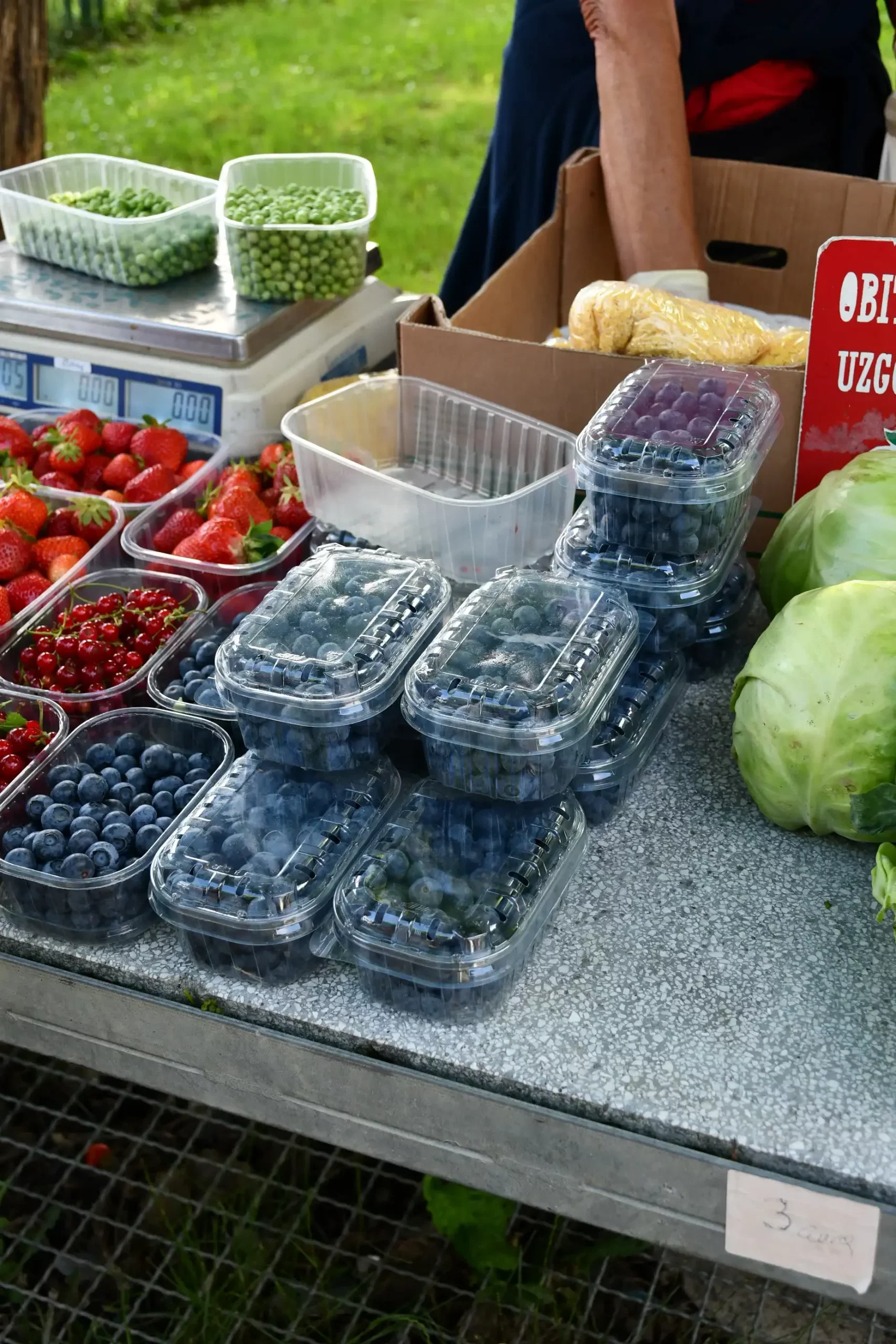 Sajam sriejdom u Čakovcu (16)