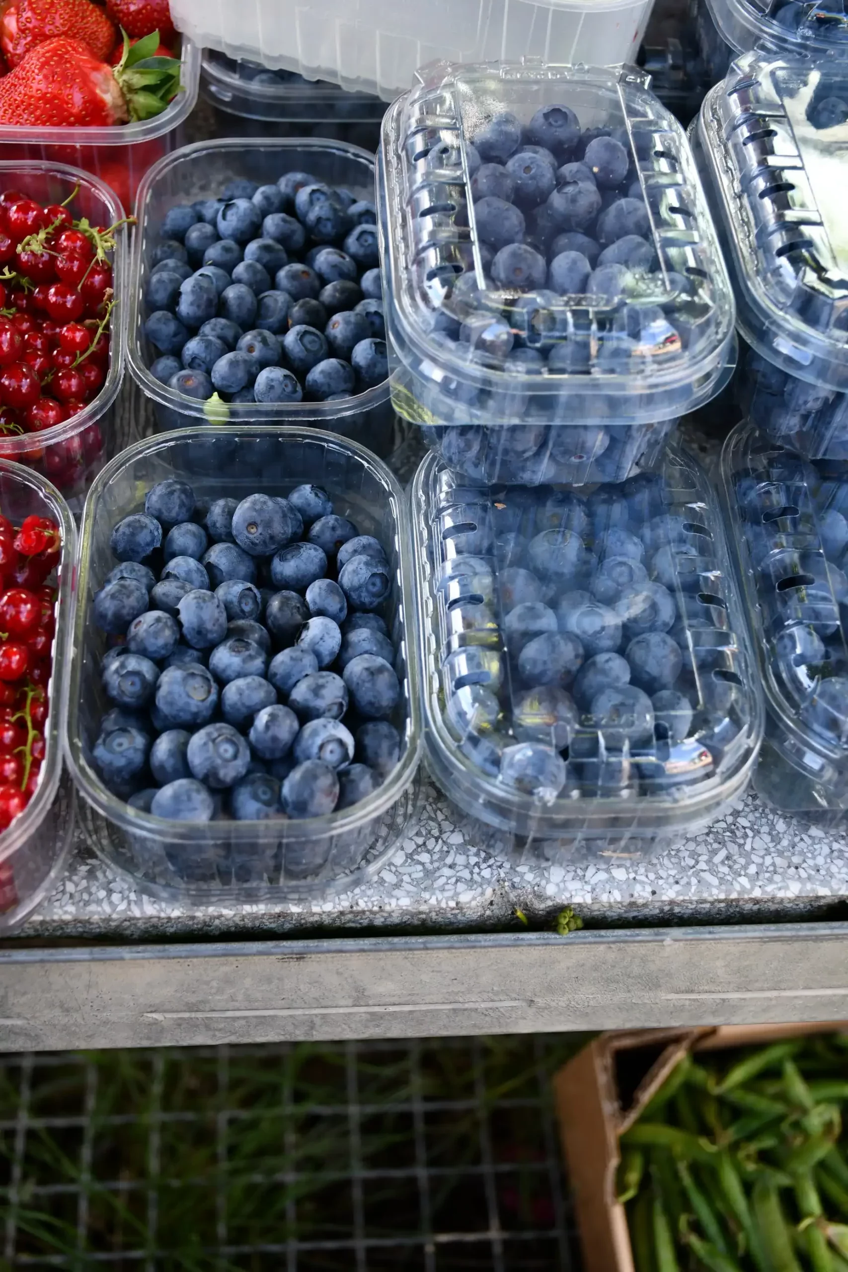 Sajam sriejdom u Čakovcu (18)