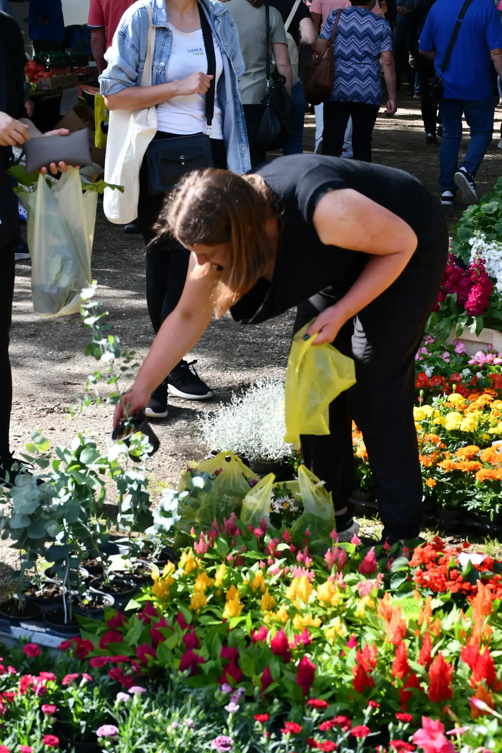 Sajam sriejdom u Čakovcu (21)