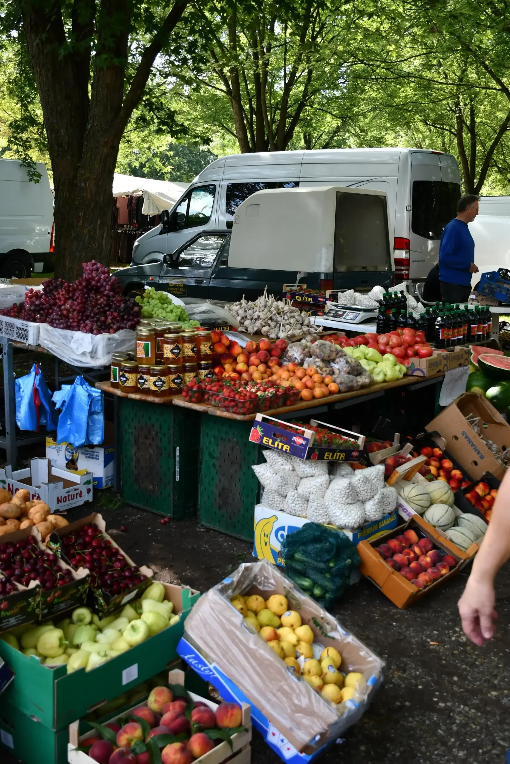 Sajam sriejdom u Čakovcu (24)