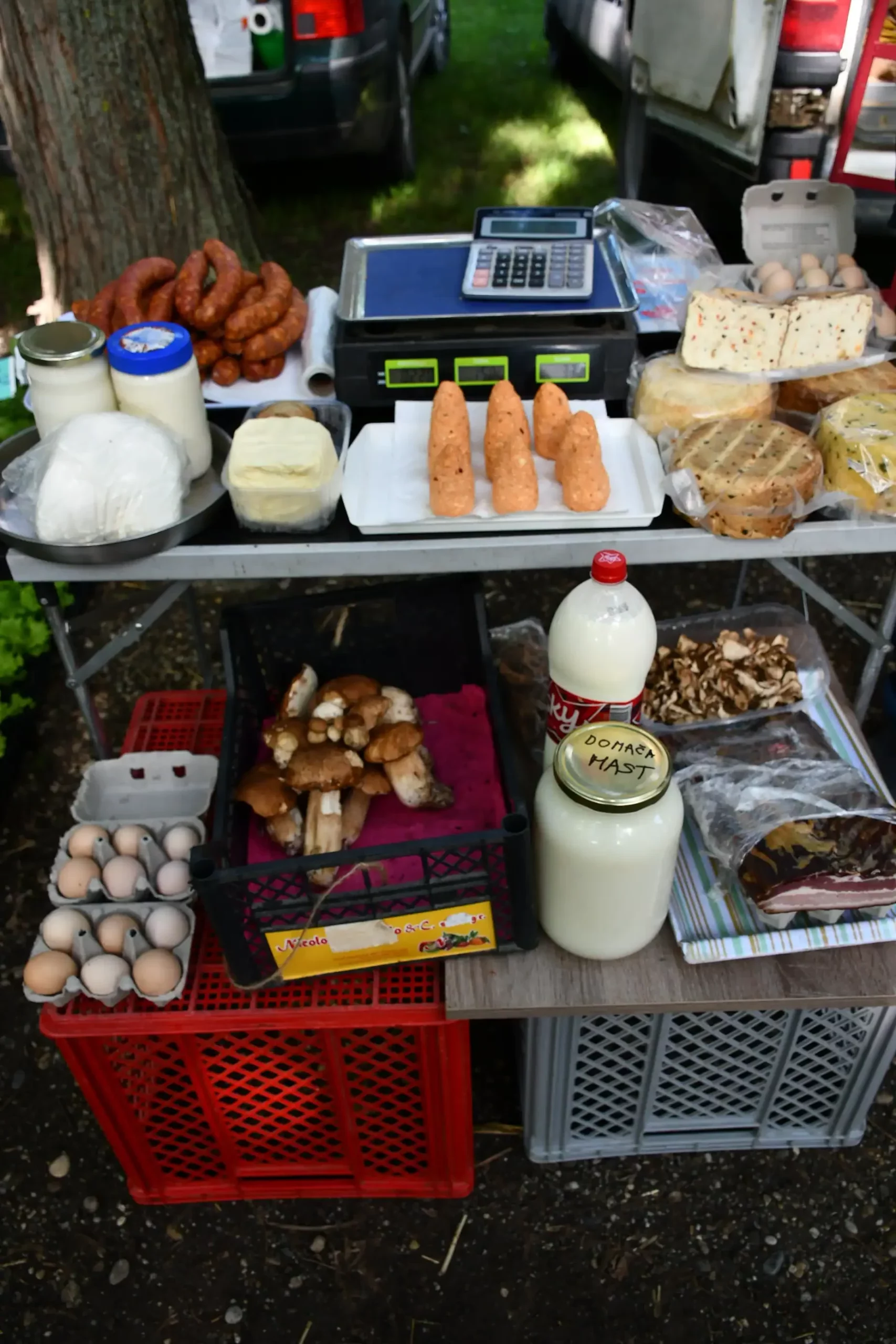 Sajam sriejdom u Čakovcu (31)