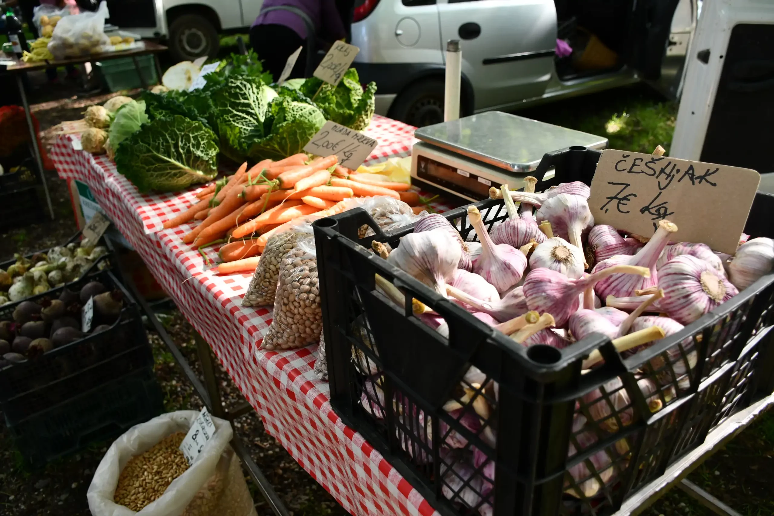 Sajam sriejdom u Čakovcu (35)