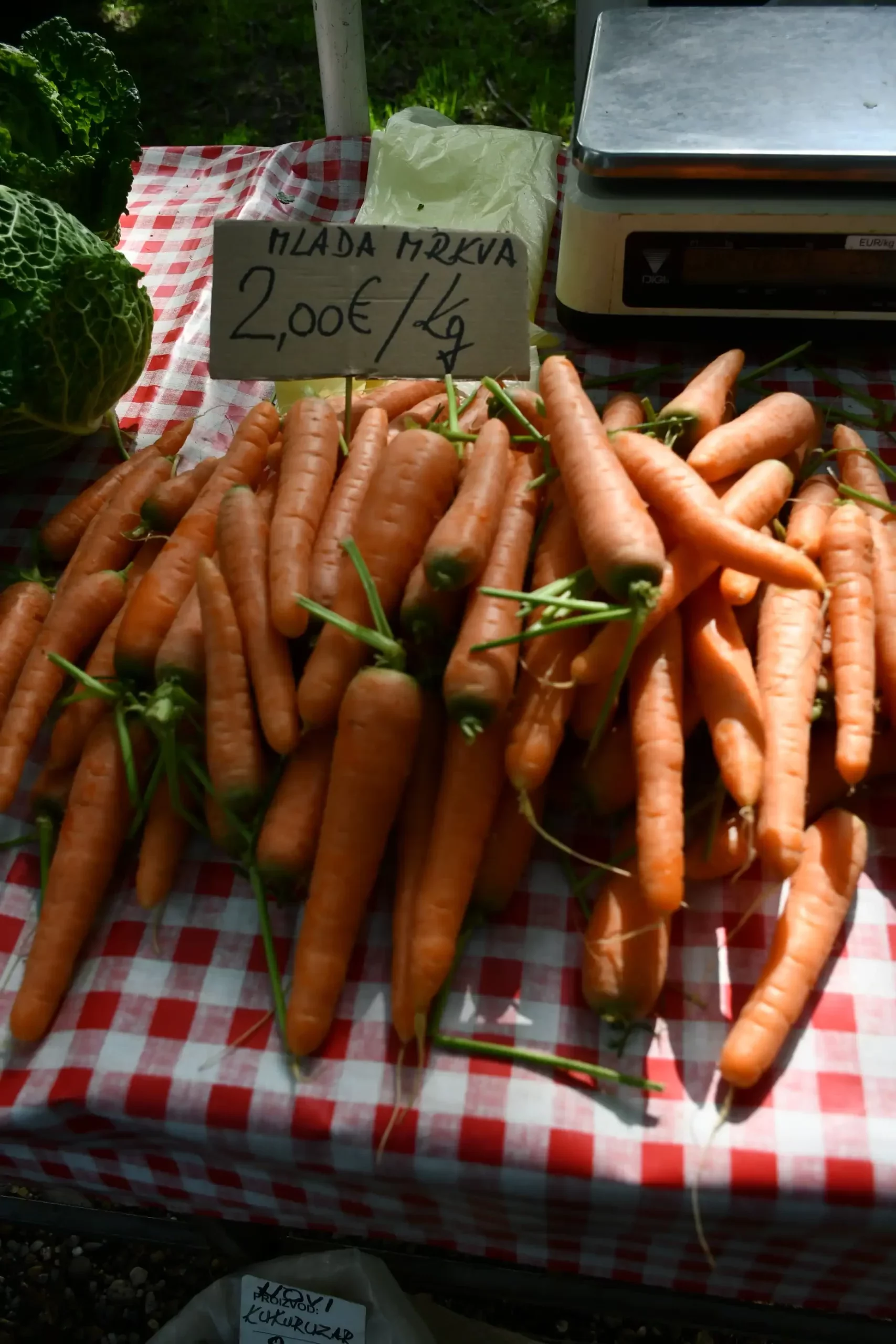 Sajam sriejdom u Čakovcu (36)