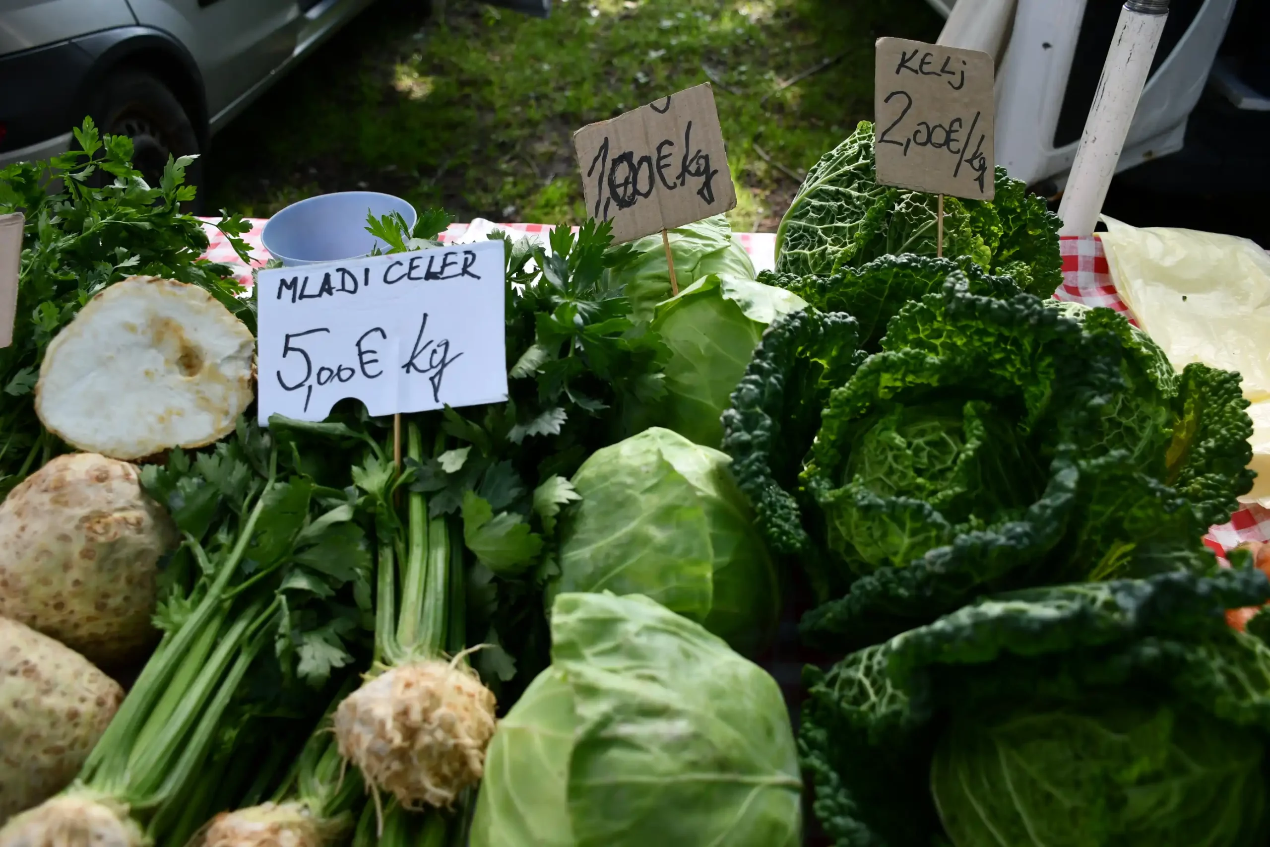 Sajam sriejdom u Čakovcu (37)