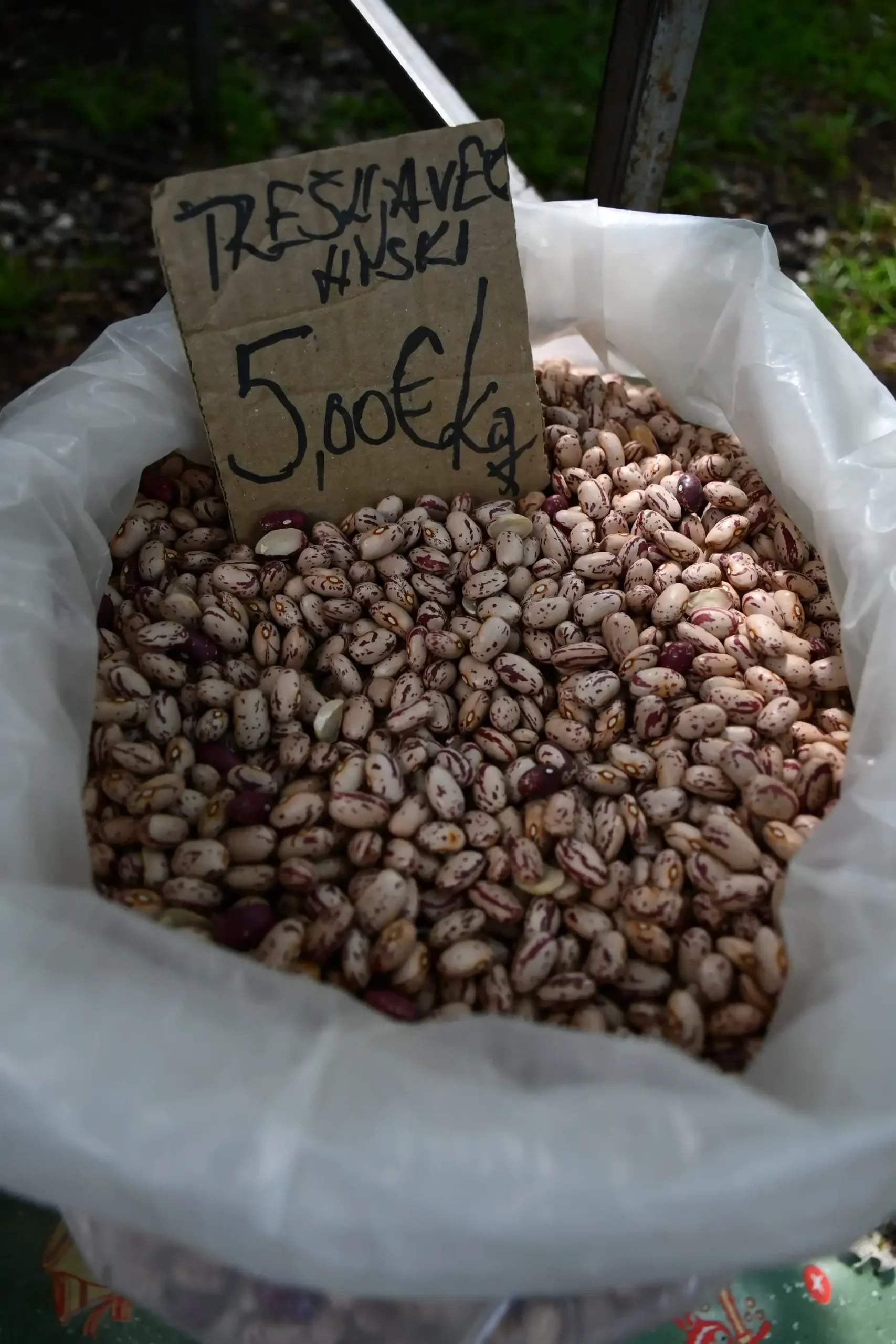 Sajam sriejdom u Čakovcu (40)