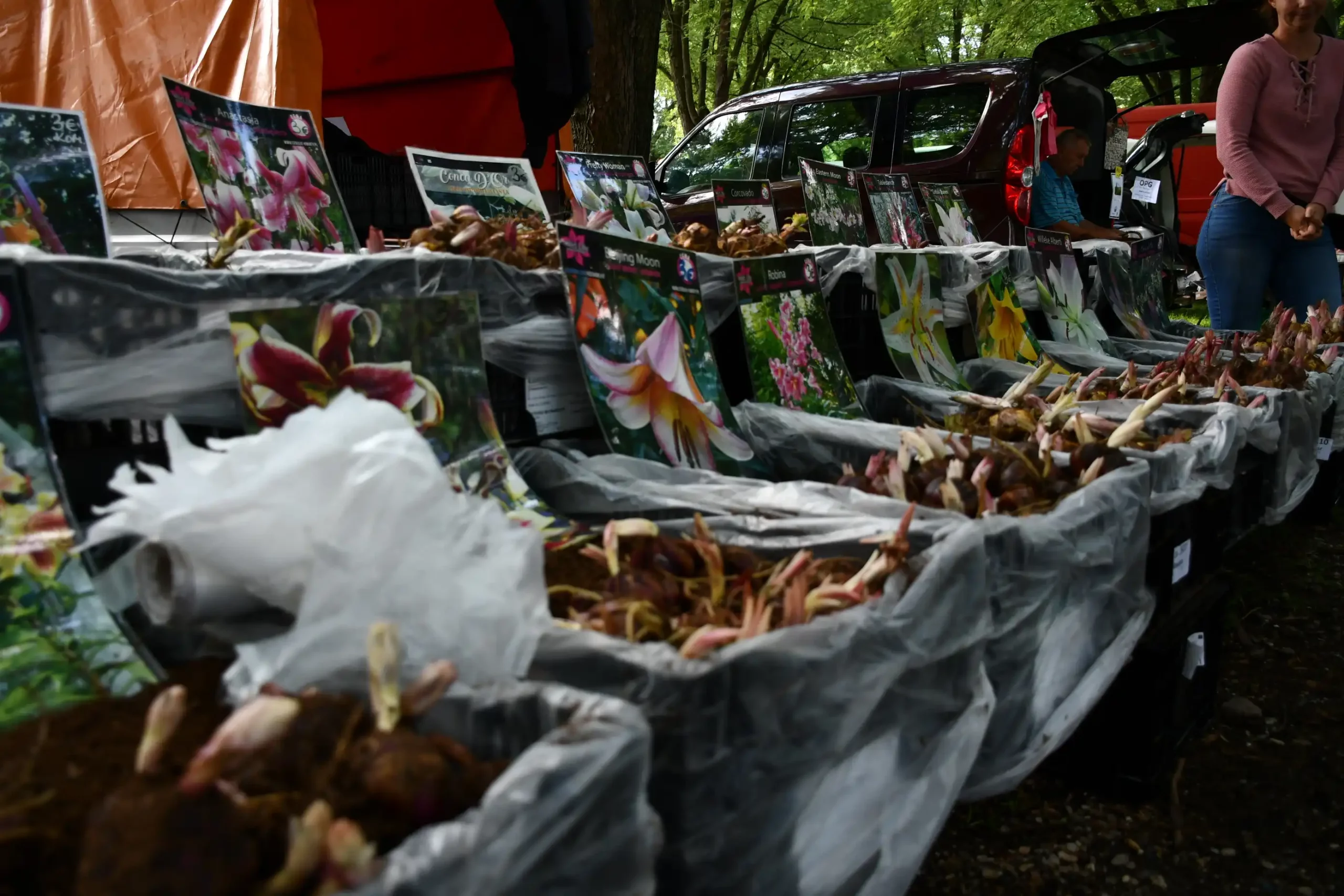 Sajam sriejdom u Čakovcu (42)