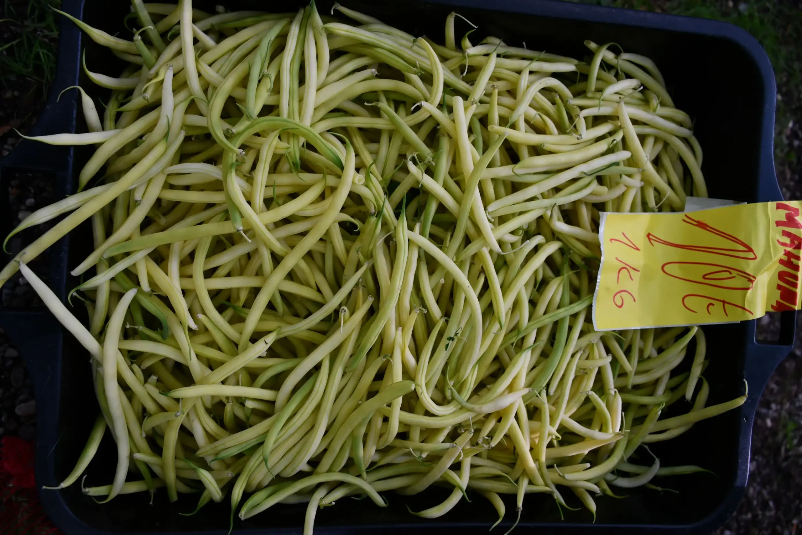 Sajam sriejdom u Čakovcu (44)