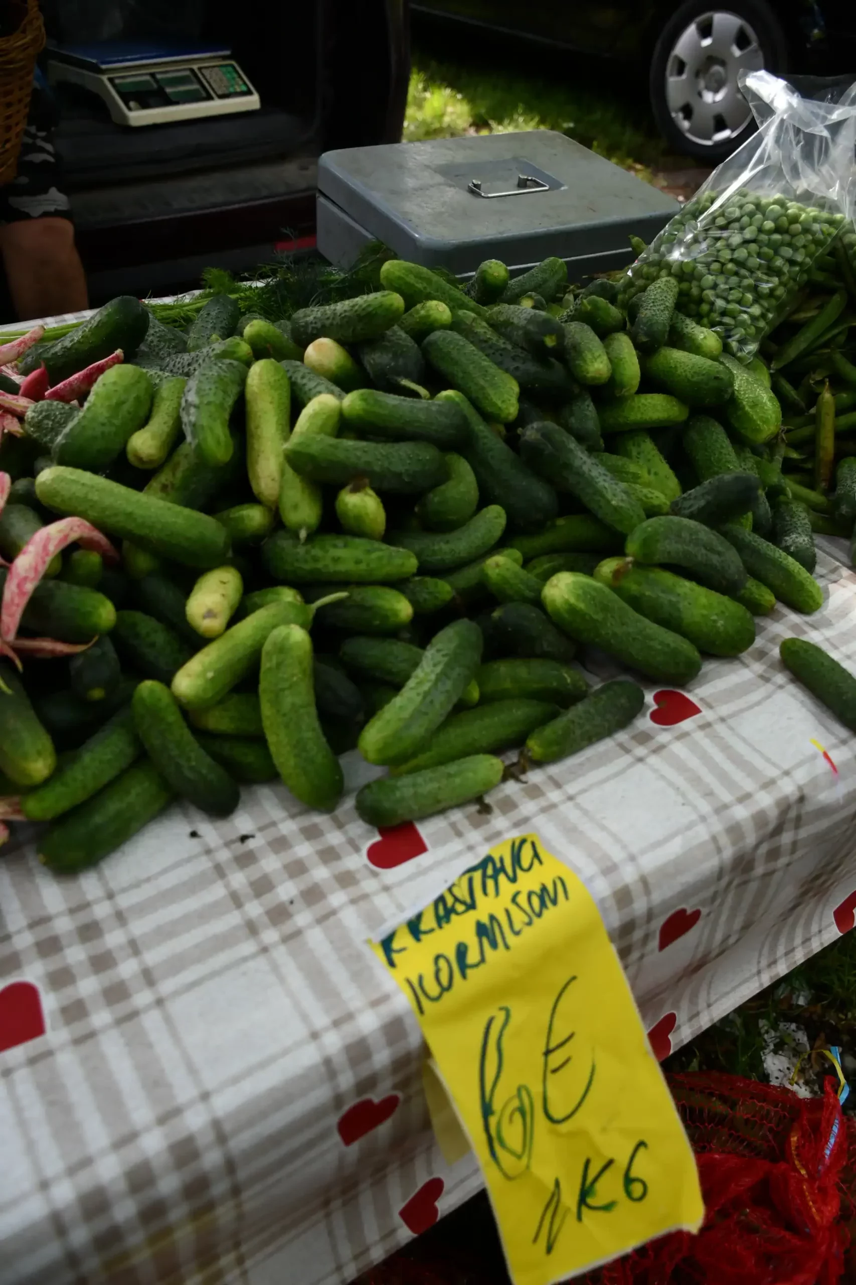 Sajam sriejdom u Čakovcu (46)