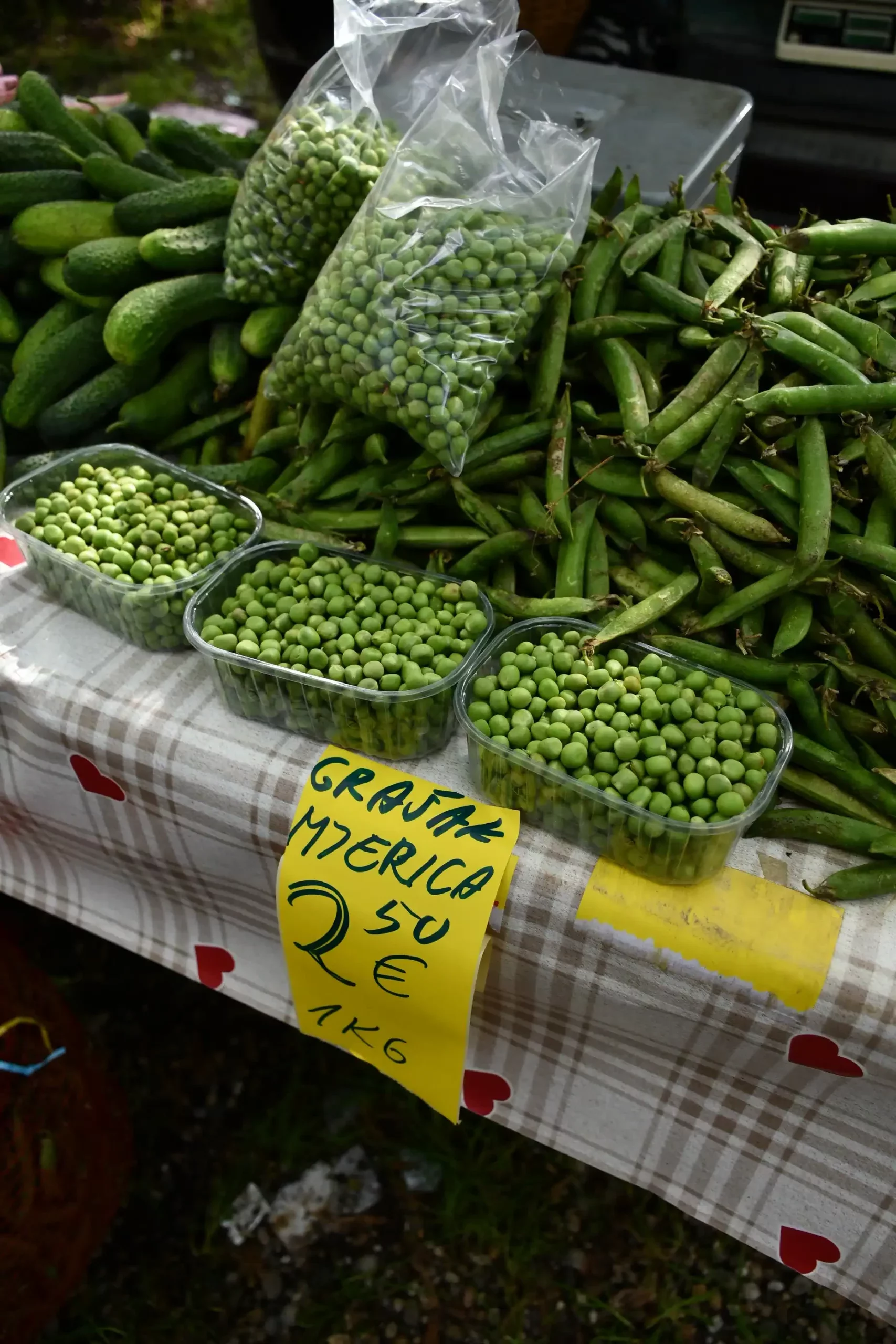 Sajam sriejdom u Čakovcu (47)