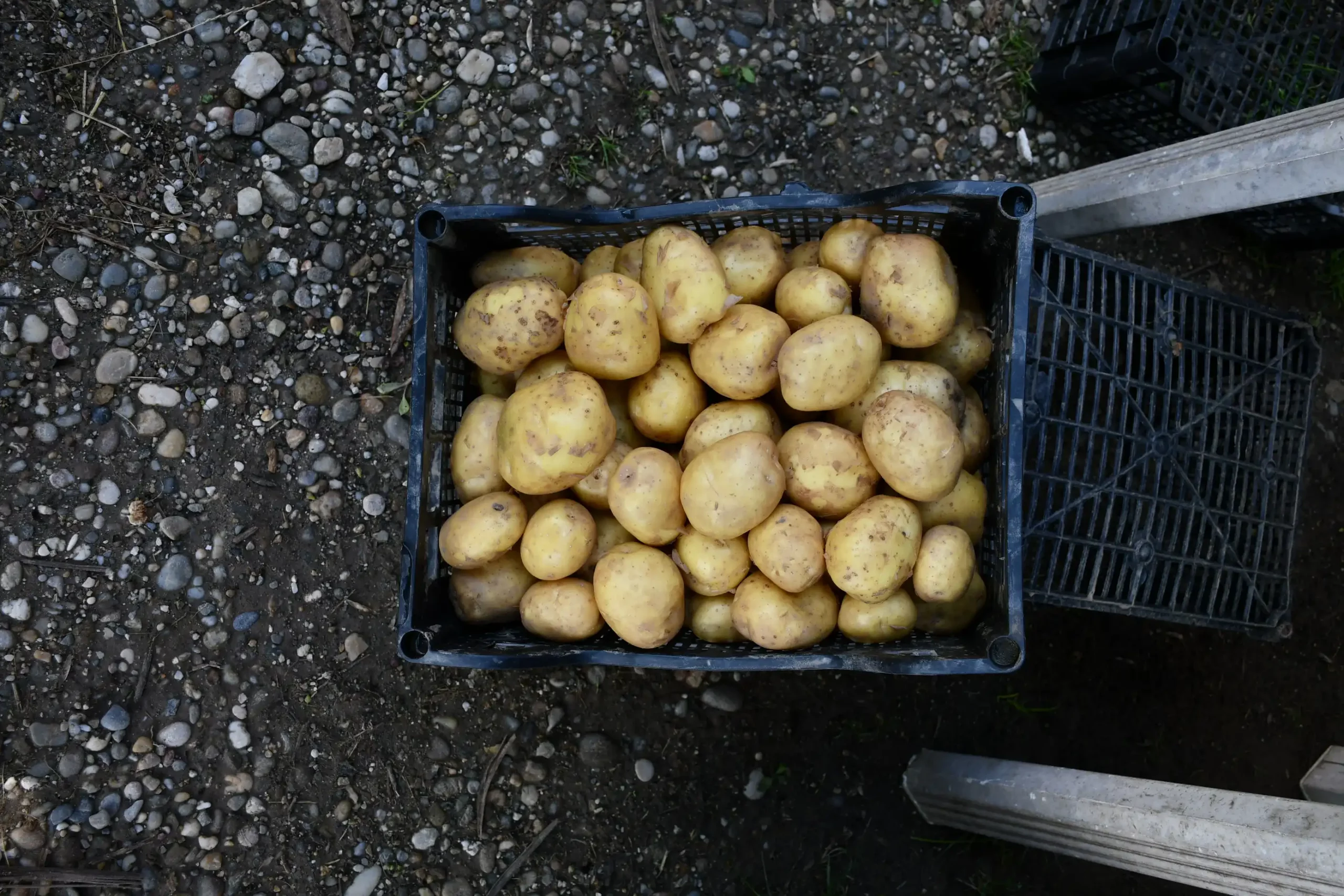 Sajam sriejdom u Čakovcu (5)