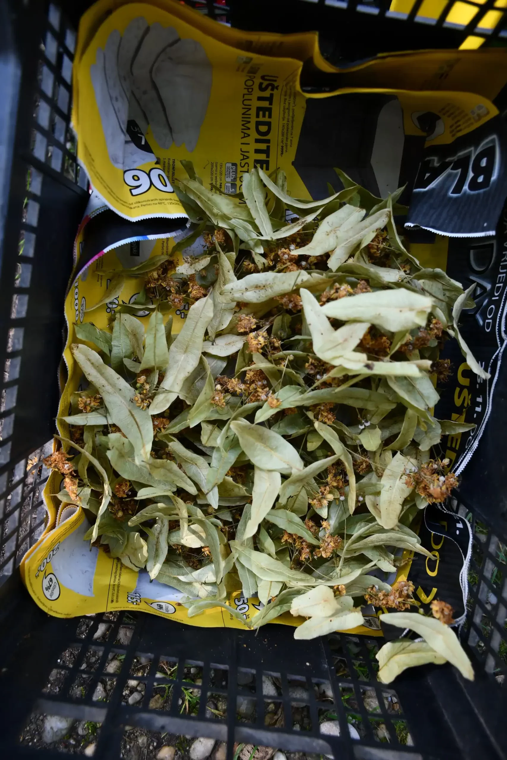 Sajam sriejdom u Čakovcu (53)