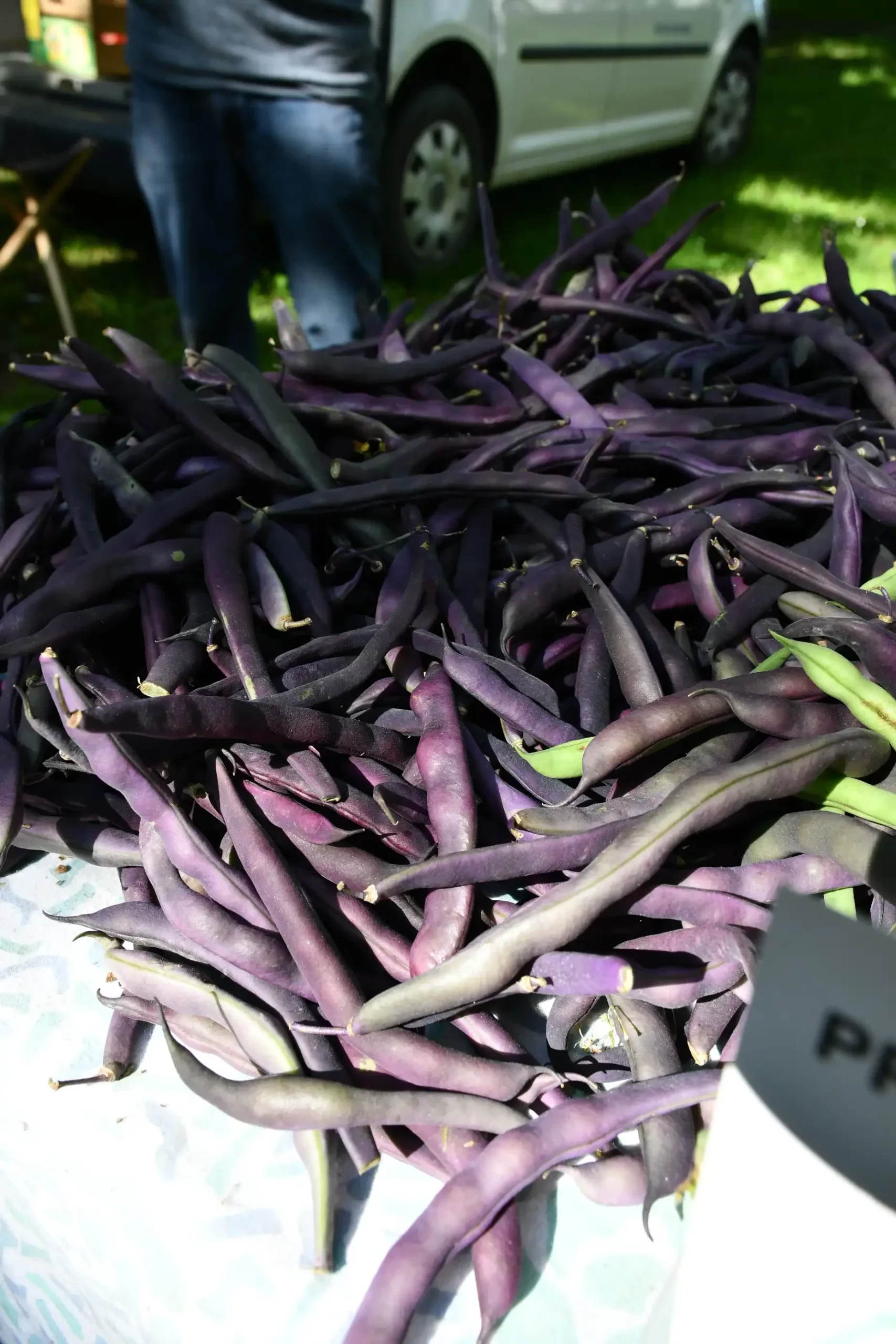 Sajam sriejdom u Čakovcu (55)