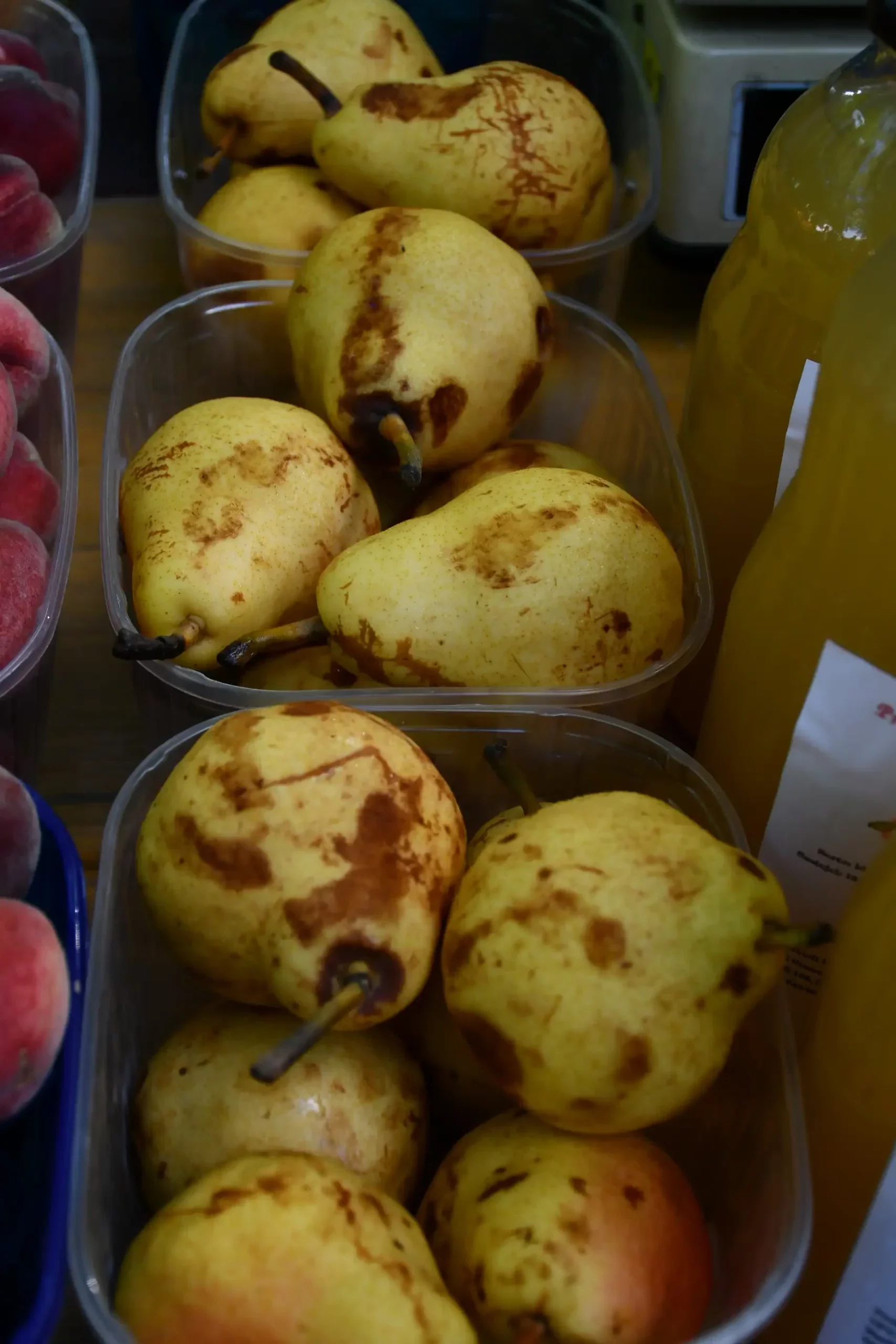 Sajam sriejdom u Čakovcu (63)