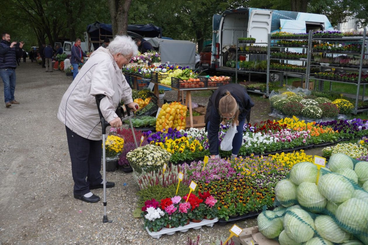 Sajam srijedom 1.10.2025 (11)