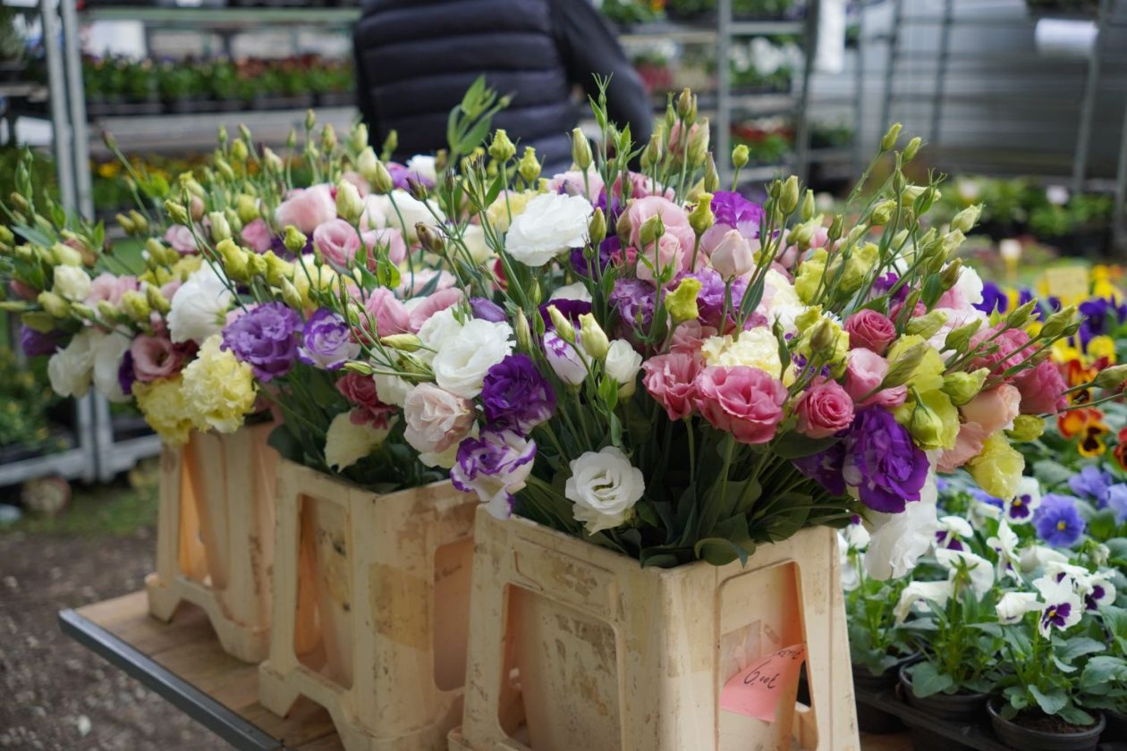 Sajam srijedom 1.10.2025 (12)