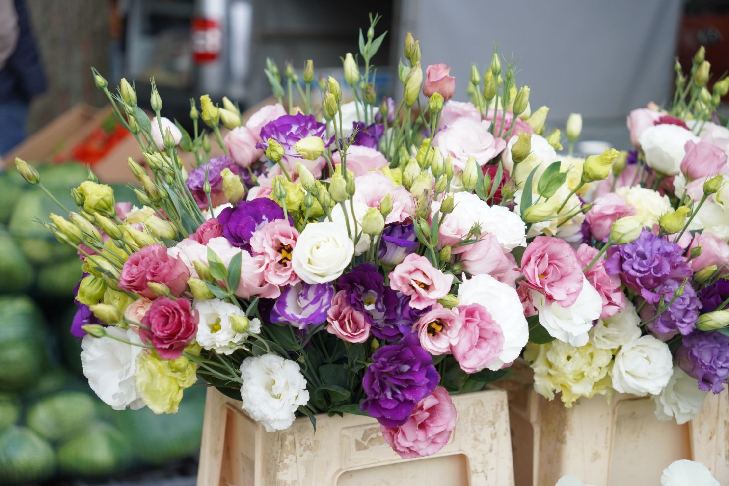 Sajam srijedom 1.10.2025 (14)