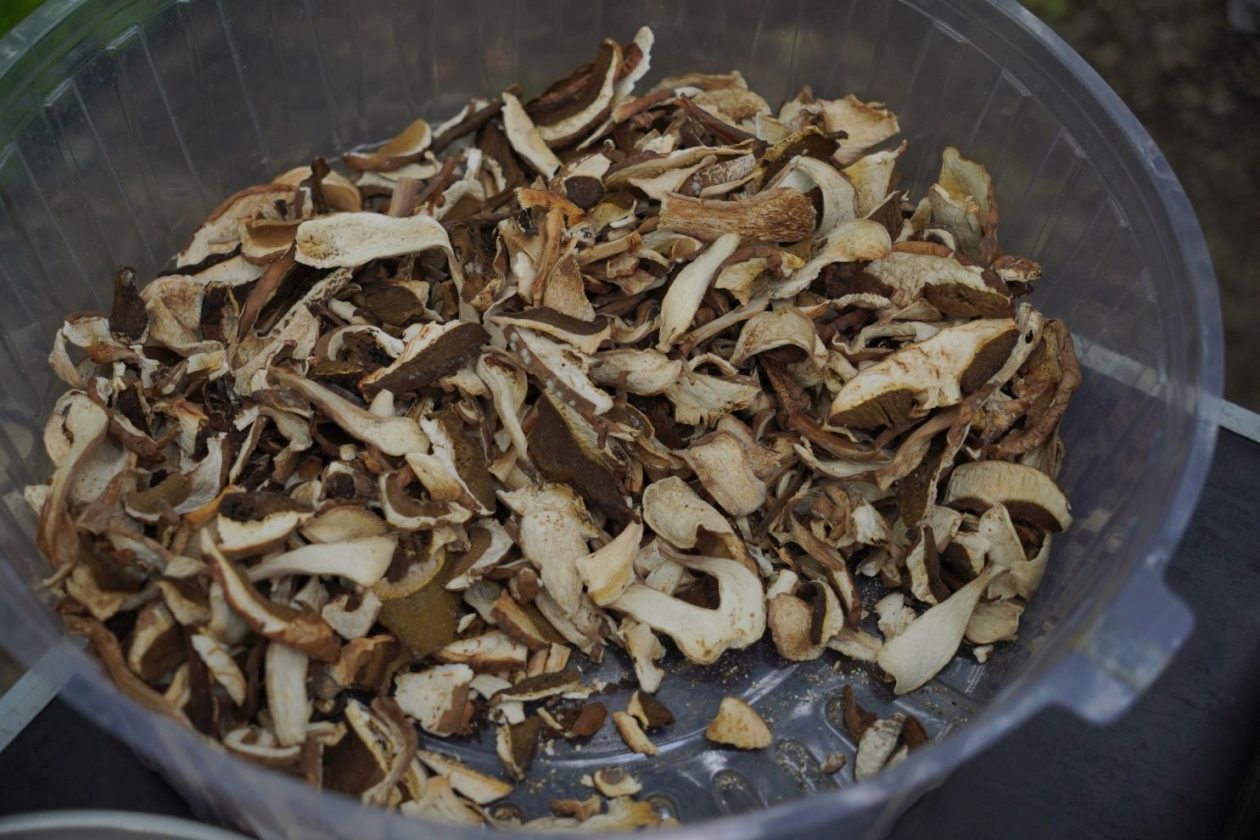 Sajam srijedom 1.10.2025 (15)