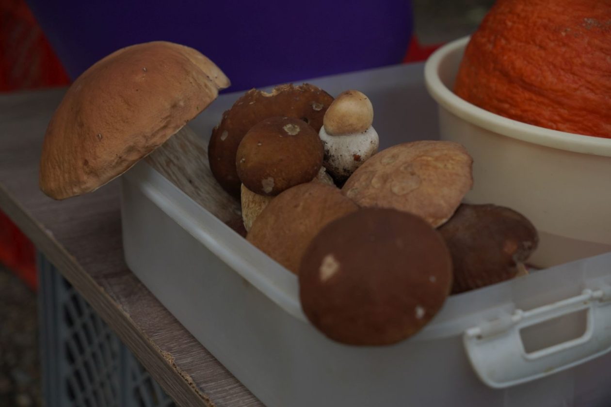 Sajam srijedom 1.10.2025 (16)