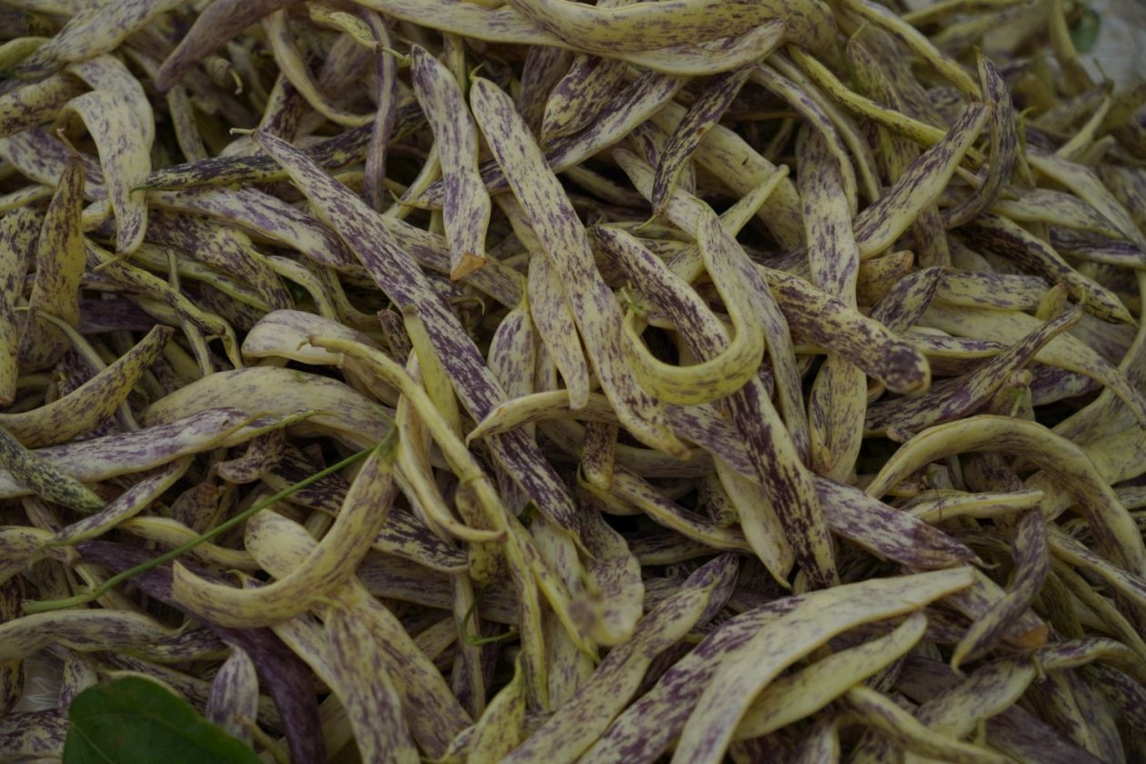 Sajam srijedom 1.10.2025 (21)