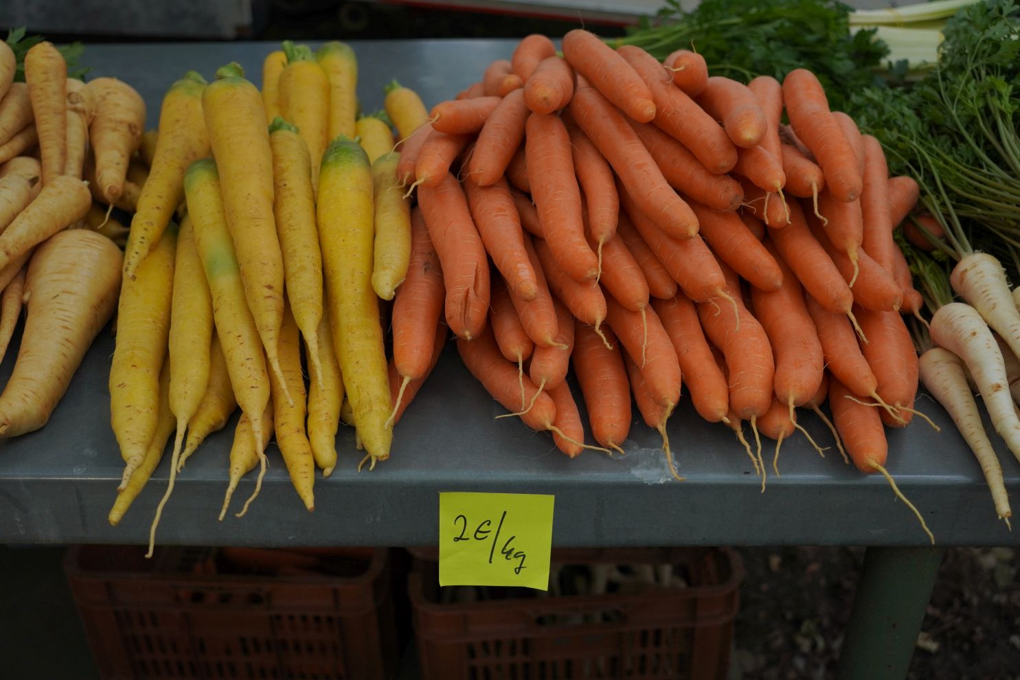 Sajam srijedom 1.10.2025 (26)