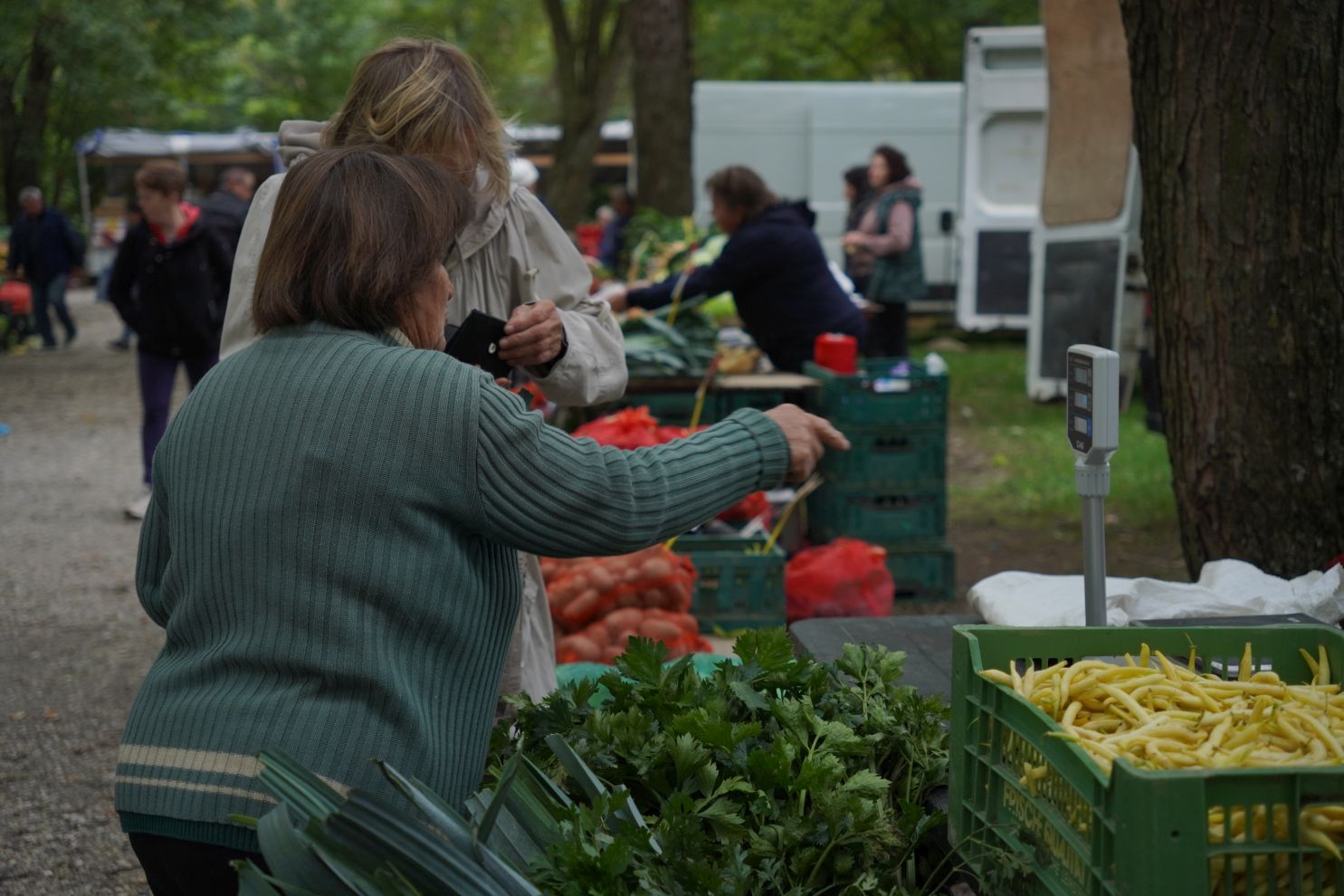 Sajam srijedom 1.10.2025 (27)