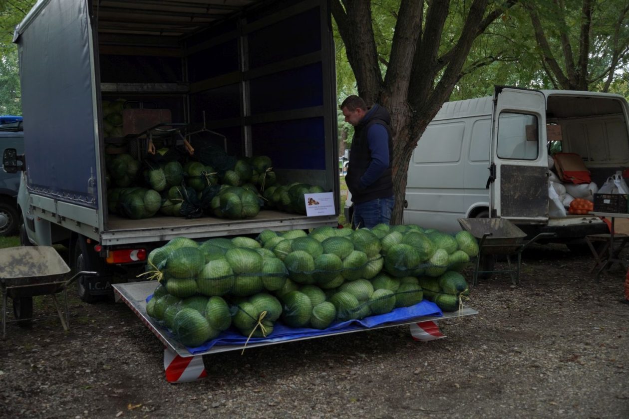 Sajam srijedom 1.10.2025 (28)
