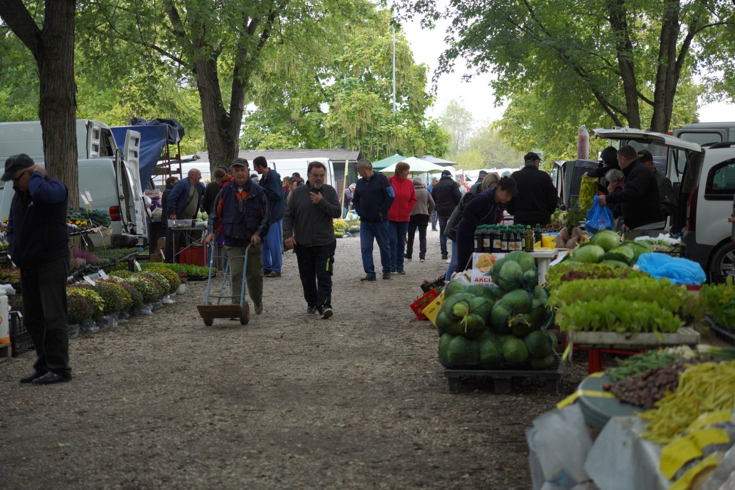 Sajam srijedom 1.10.2025 (32)