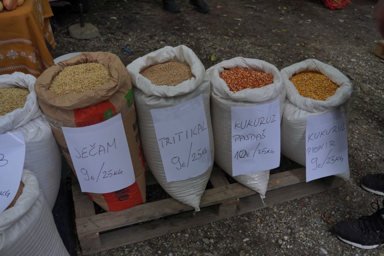 Sajam srijedom 1.10.2025 (37)