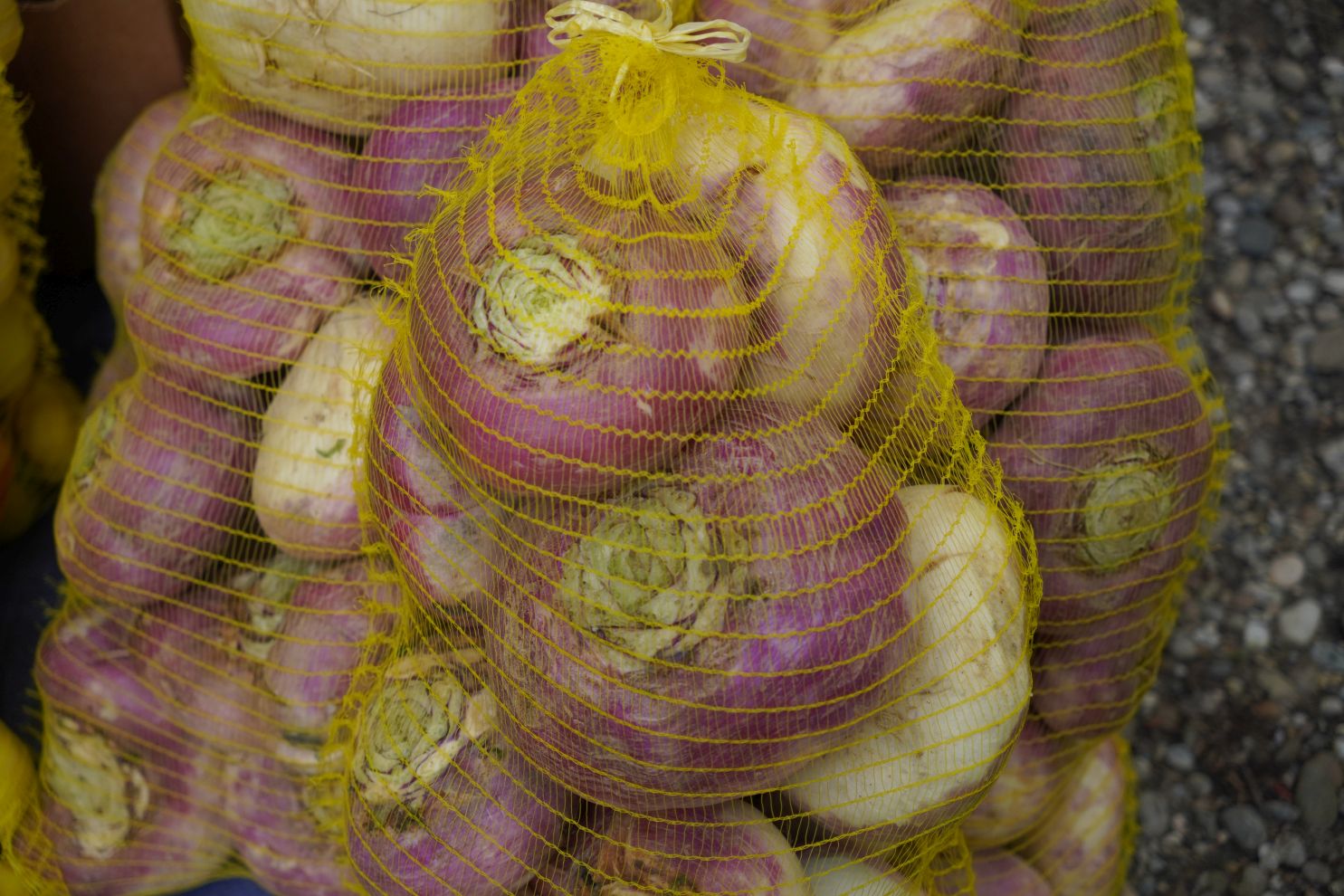 Sajam srijedom 1.10.2025 (39)