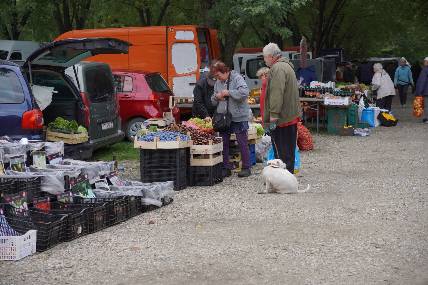 Sajam srijedom 1.10.2025 (4)