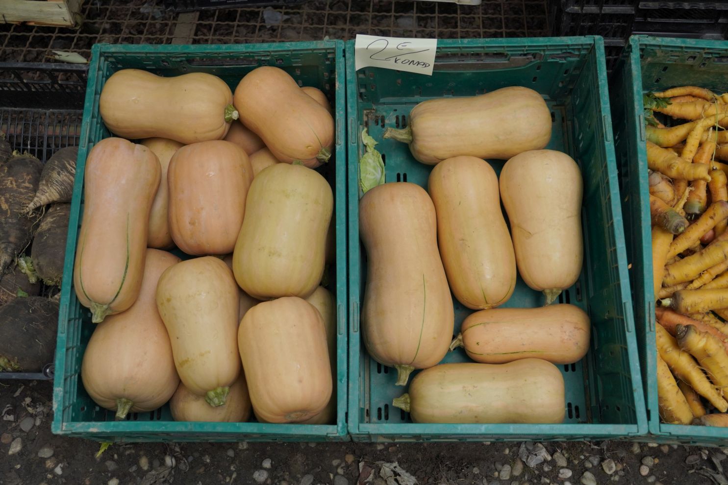 Sajam srijedom 1.10.2025 (41)