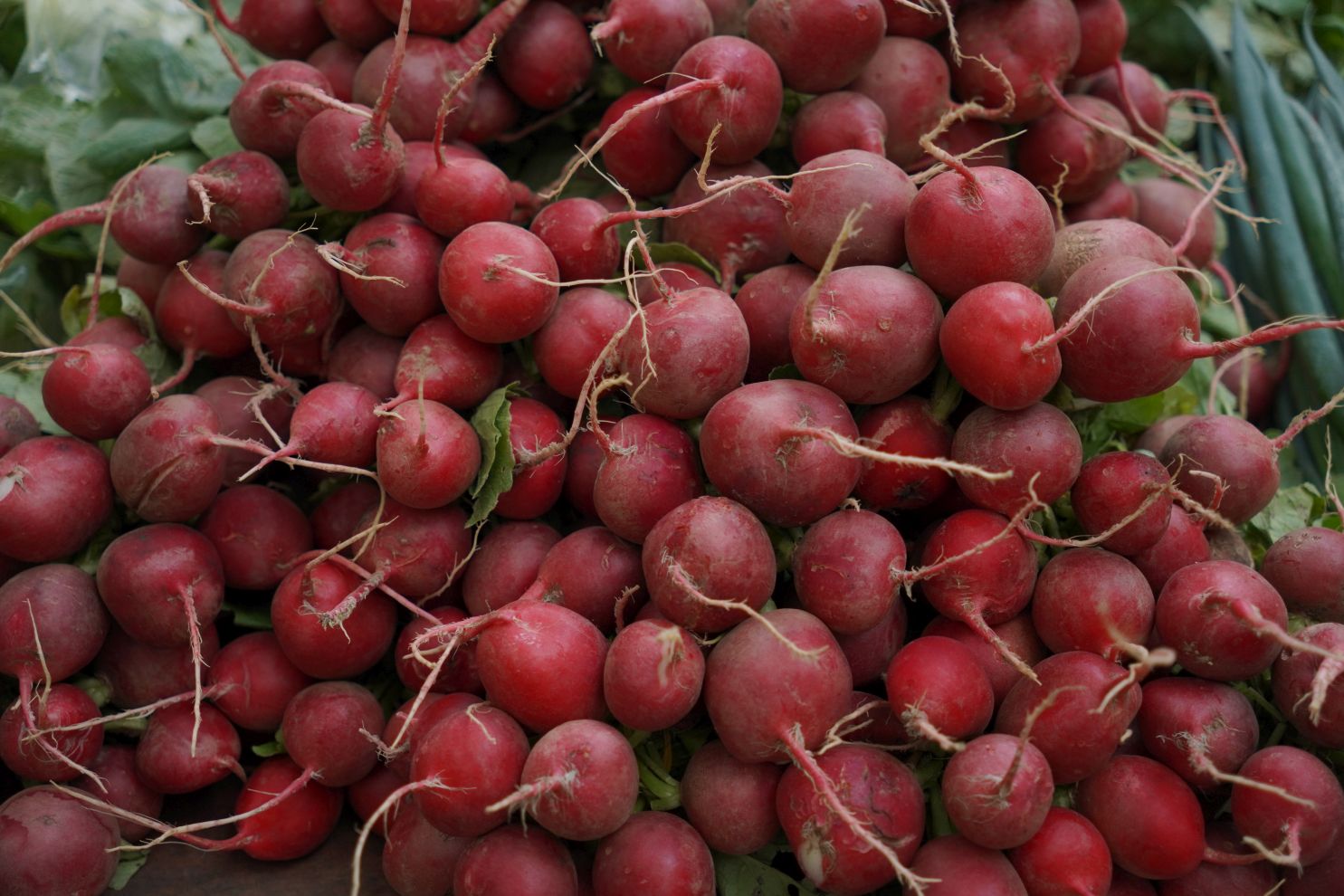 Sajam srijedom 1.10.2025 (42)