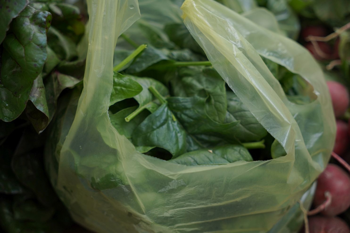 Sajam srijedom 1.10.2025 (43)